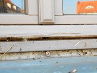 Holz- und Anstrichsch&auml;den am Fenster